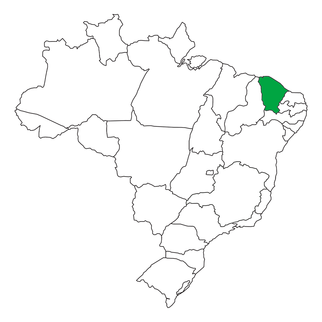 Drip-Plan Equipamentos para Irrigação - Luz do Brasil