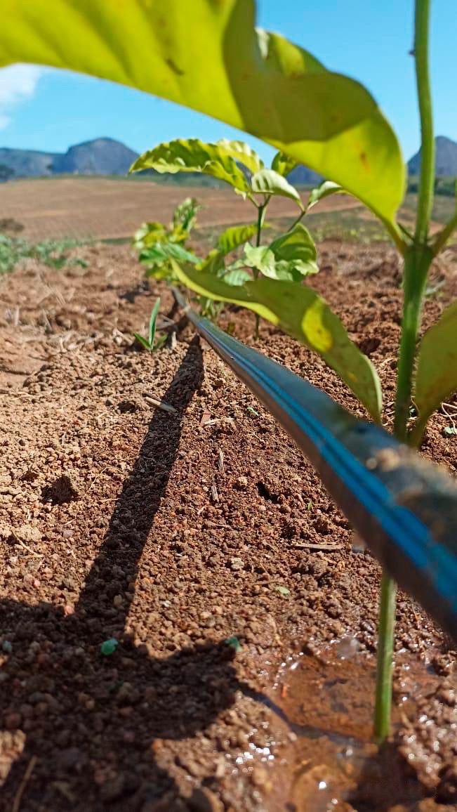 Drip-Plan Equipamentos para Irrigação - Empresa de Tubos Gotejadores em São Paulo