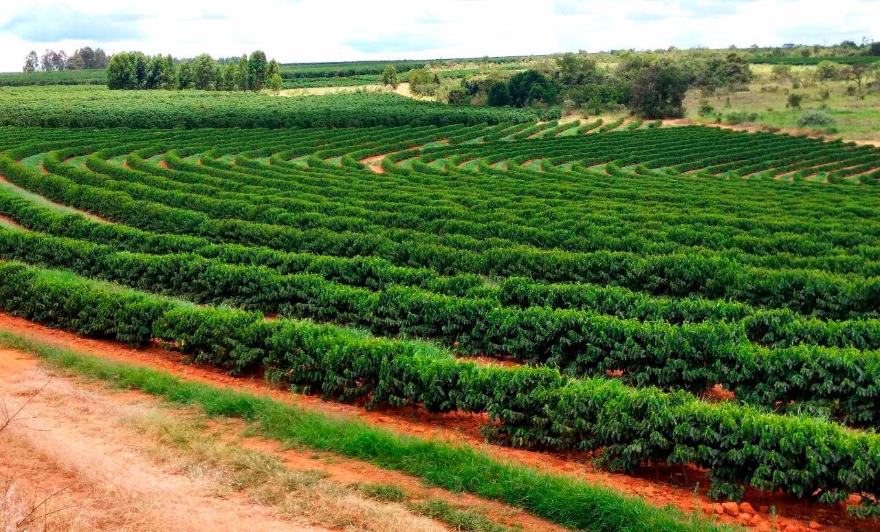 Drip-Plan Equipamentos para Irrigação - Equipamentos para irrigação