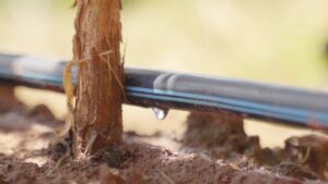 Fábrica de Tubos Gotejadores para Irrigação