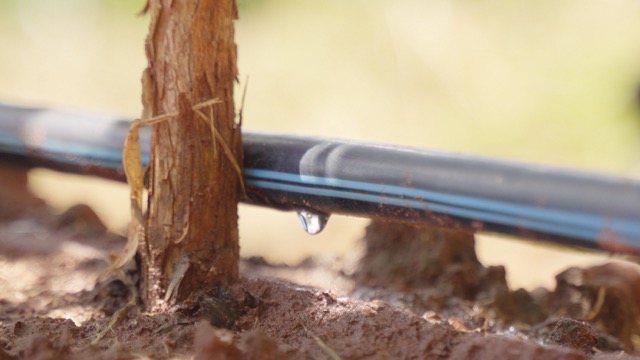 Drip-Plan Equipamentos para Irrigação - Fábrica de Tubos Gotejadores para Irrigação