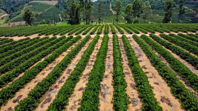 Drip-Plan Equipamentos para Irrigação - Onde Comprar Equipamentos para Irrigação