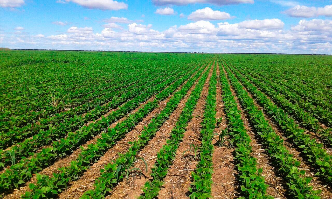 Drip-Plan Equipamentos para Irrigação - Soluções completas em equipamentos para irrigação