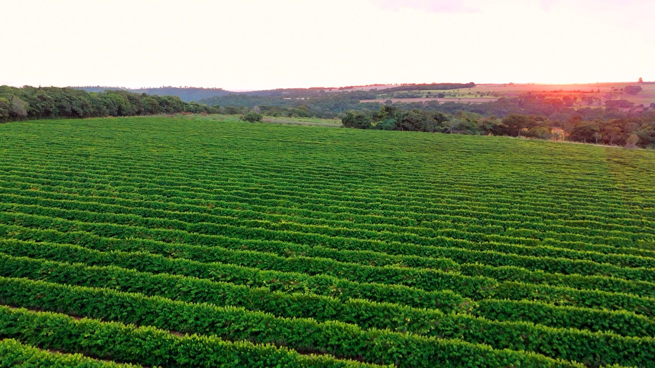 Drip-Plan Equipamentos para Irrigação - Soluções em Tubo Gotejador para Irrigação