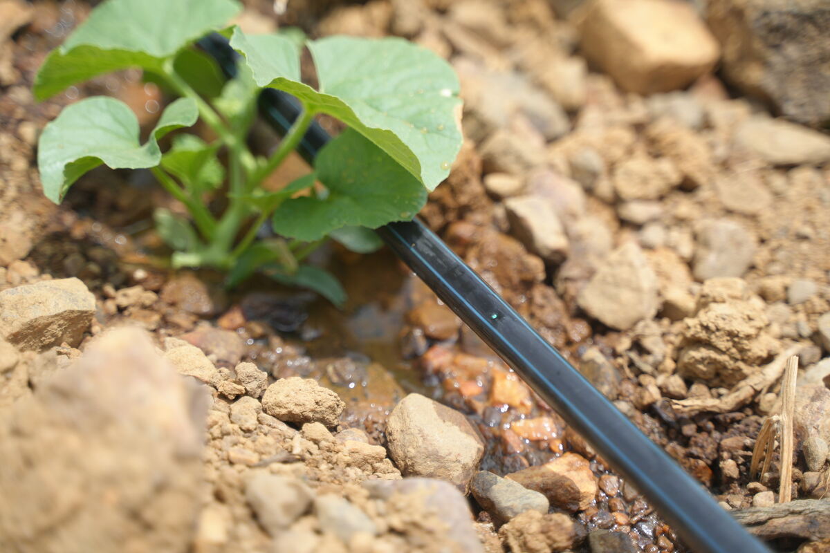 Drip-Plan Equipamentos para Irrigação - Empresa de Tubos Gotejadores