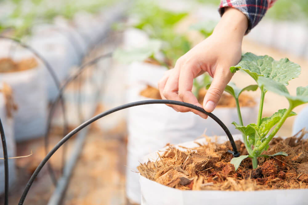 Drip-Plan Equipamentos para Irrigação - Fabricante de Tubos Gotejadores em São Paulo