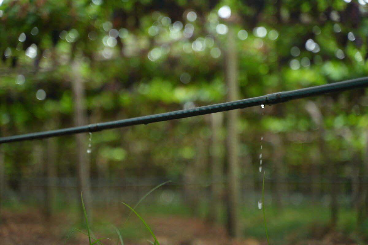 Drip-Plan Equipamentos para Irrigação - Fabricante de Tubos Gotejadores em São Paulo