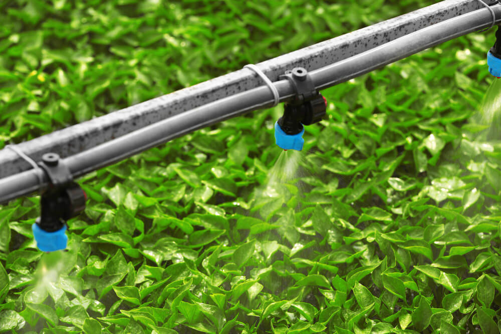 Drip-Plan Equipamentos para Irrigação - Fabricante Tubo Gotejador para Irrigação