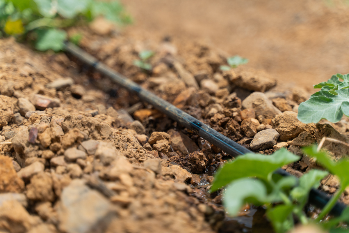 Drip-Plan Equipamentos para Irrigação - Fabricante Tubo Gotejador para Irrigação
