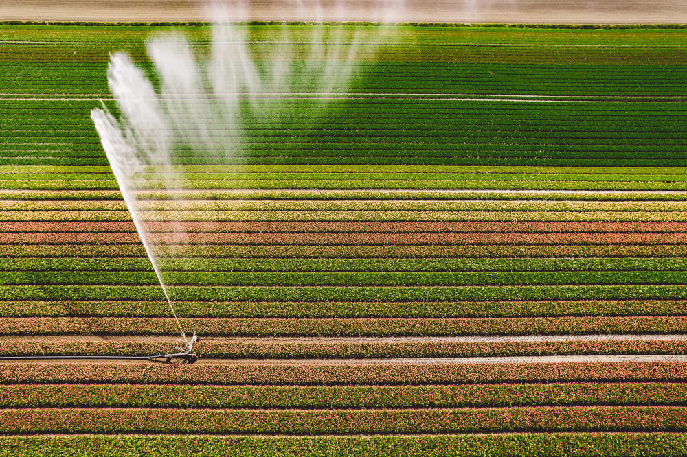 Drip-Plan Equipamentos para Irrigação - Soluções em Equipamentos para Irrigação