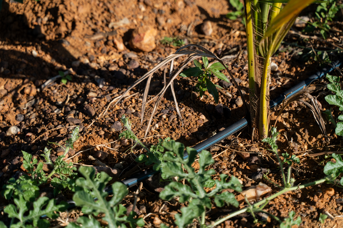 Drip-Plan Equipamentos para Irrigação - Empresa de Tubos Gotejadores Autocompensantes