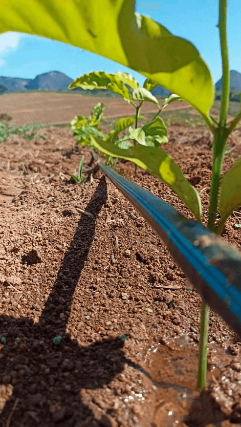 Drip-Plan Equipamentos para Irrigação - Fornecedor de Conexões de Alta Qualidade para Irrigação