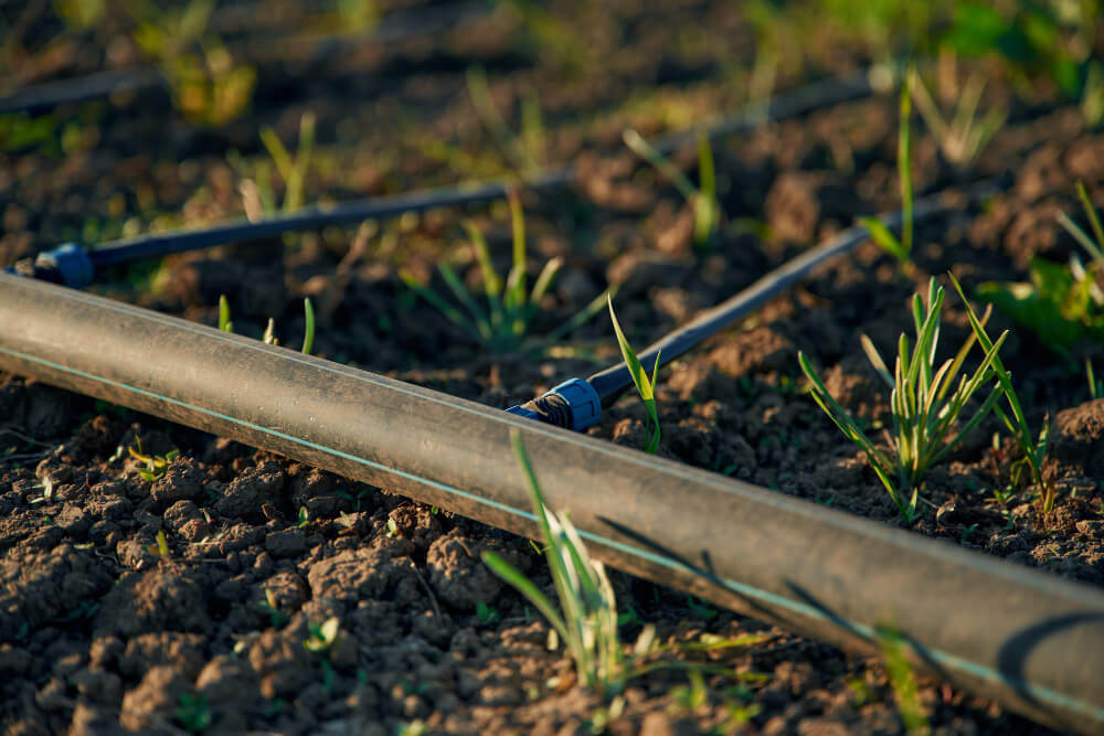 Drip-Plan Equipamentos para Irrigação - Microtubo para Irrigação de Hortaliças