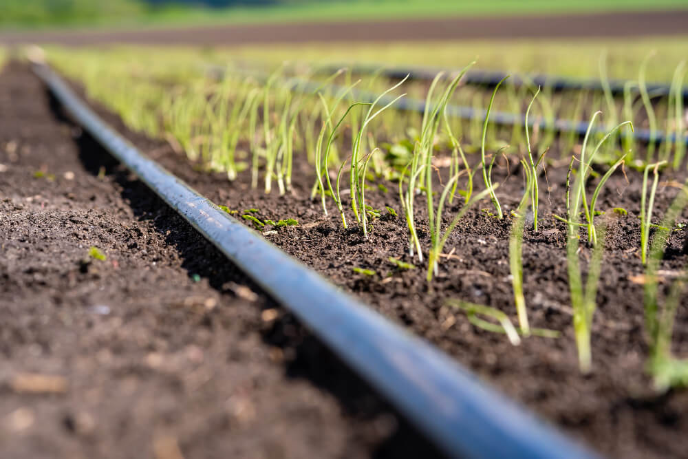 Drip-Plan Equipamentos para Irrigação - Tubos Gotejadores Autocompensantes em Minas Gerais