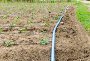 Venda de Peças e Conexões para Sistemas de Irrigação