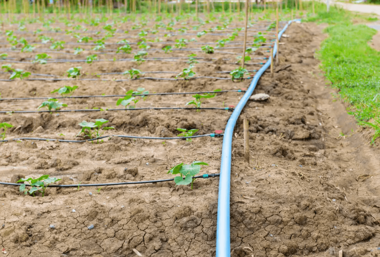 Drip-Plan Equipamentos para Irrigação - Venda de Peças e Conexões para Sistemas de Irrigação