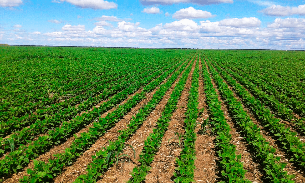 Drip-Plan Equipamentos para Irrigação - Empresa de Microtubo para Irrigação no Espírito Santo