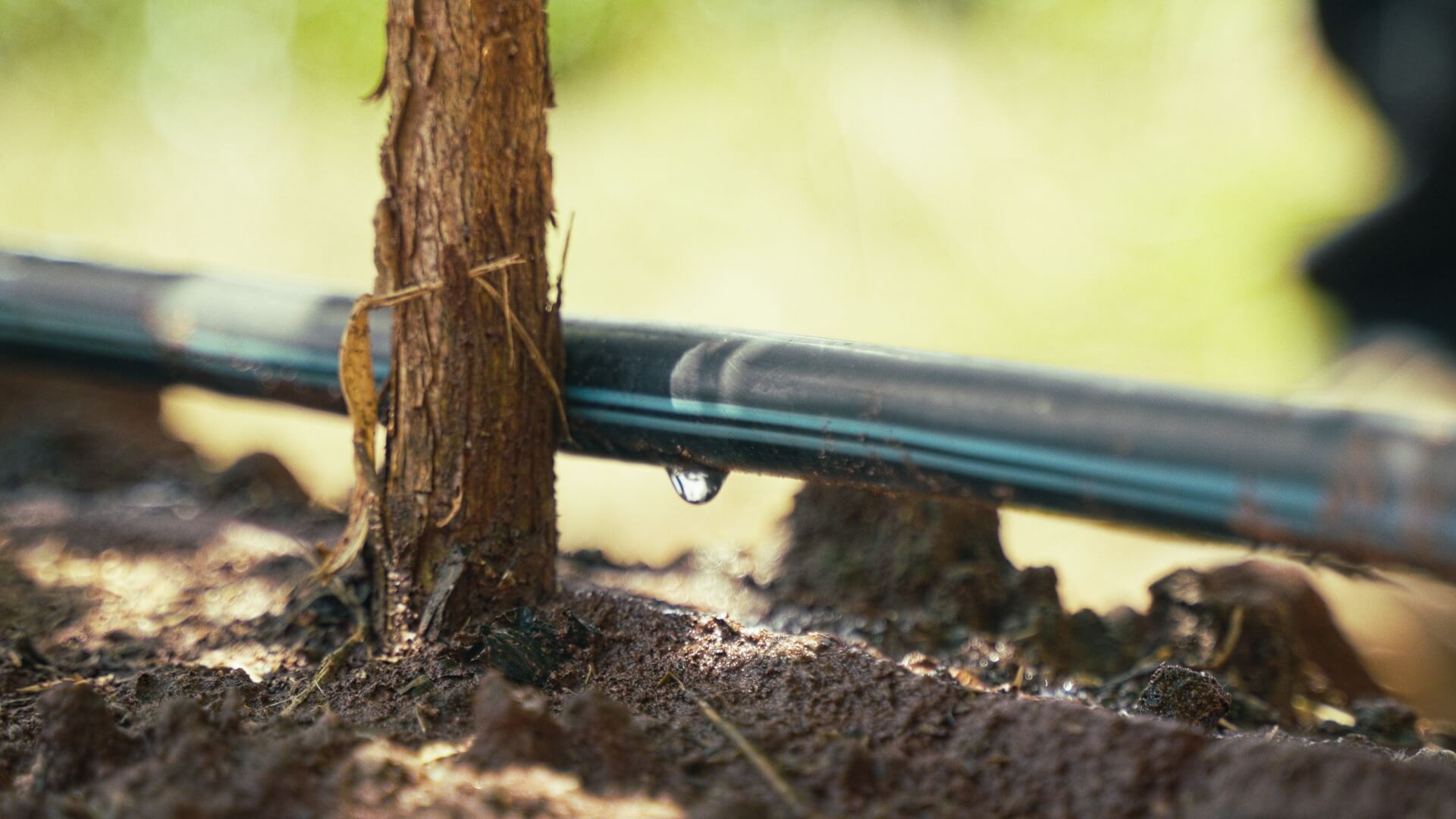Drip-Plan Equipamentos para Irrigação - Empresa de Tubo Gotejador Anti-Drenante para Irrigação