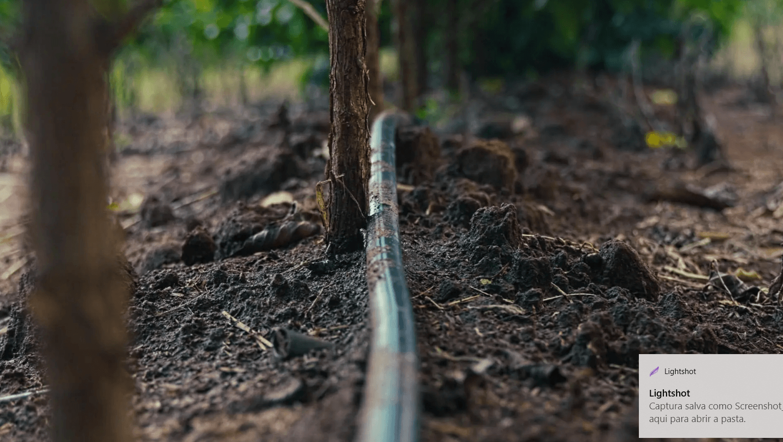 Drip-Plan Equipamentos para Irrigação - Irrigação por Gotejamento em Estufas Agrícola