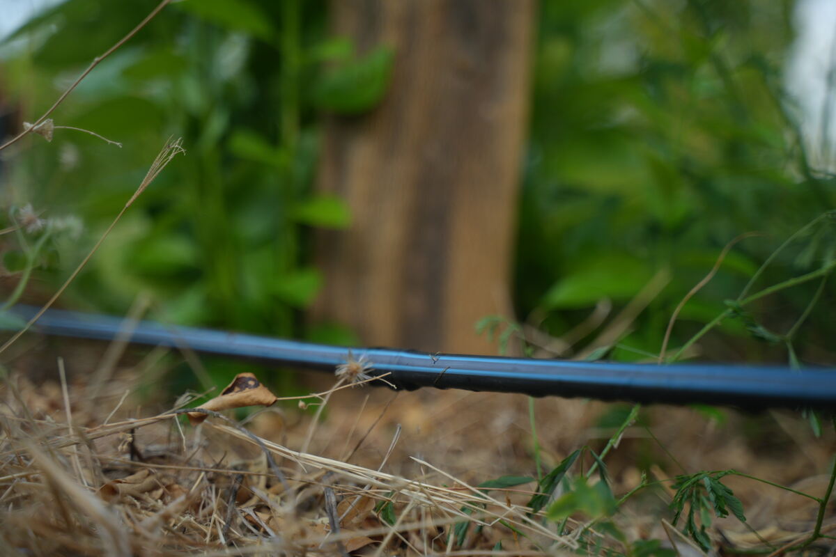 Drip-Plan Equipamentos para Irrigação - Tubos PELBD e Microtubos para irrigação por gotejamento em Minas Gerais