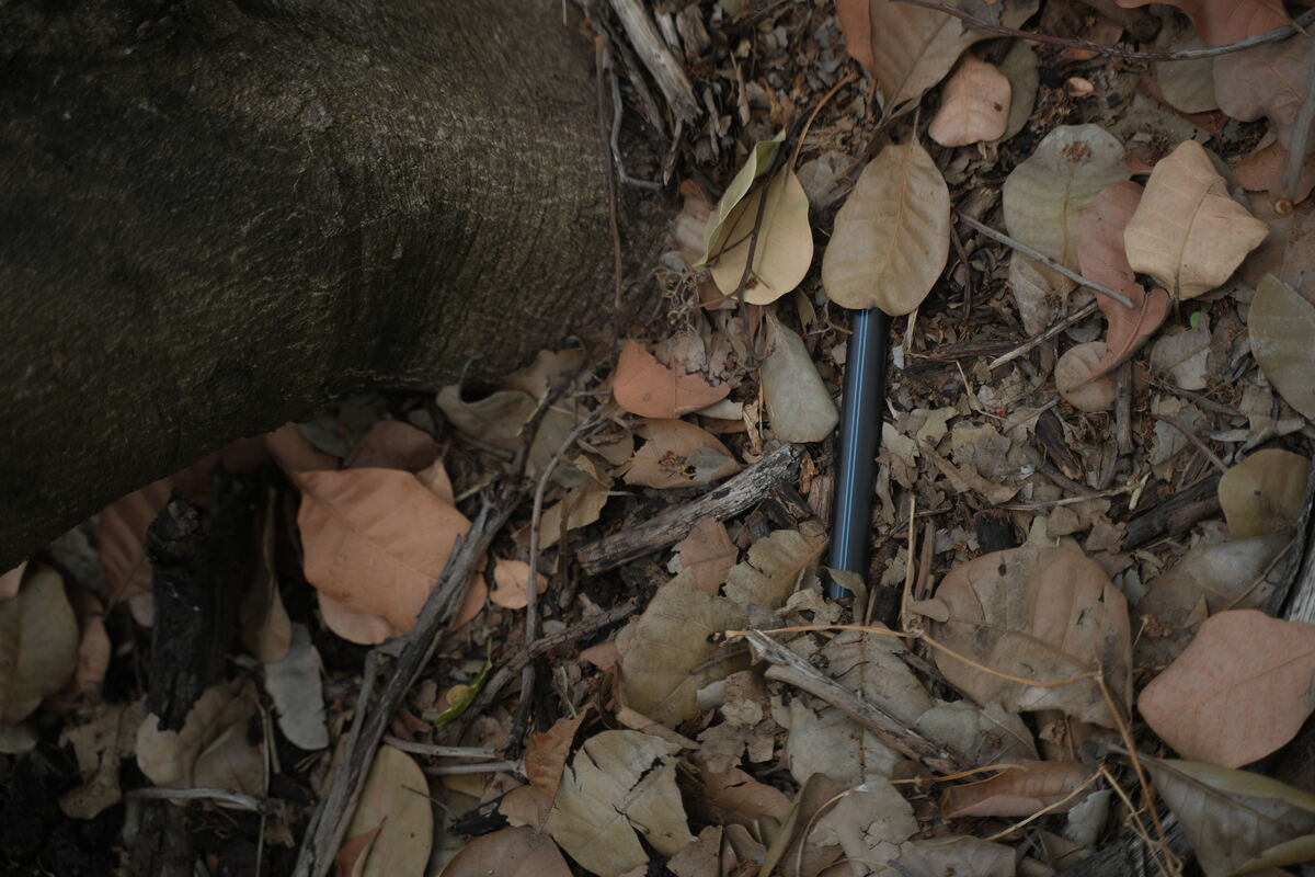Drip-Plan Equipamentos para Irrigação - Tubos Gotejadores Para Citrus São Paulo
