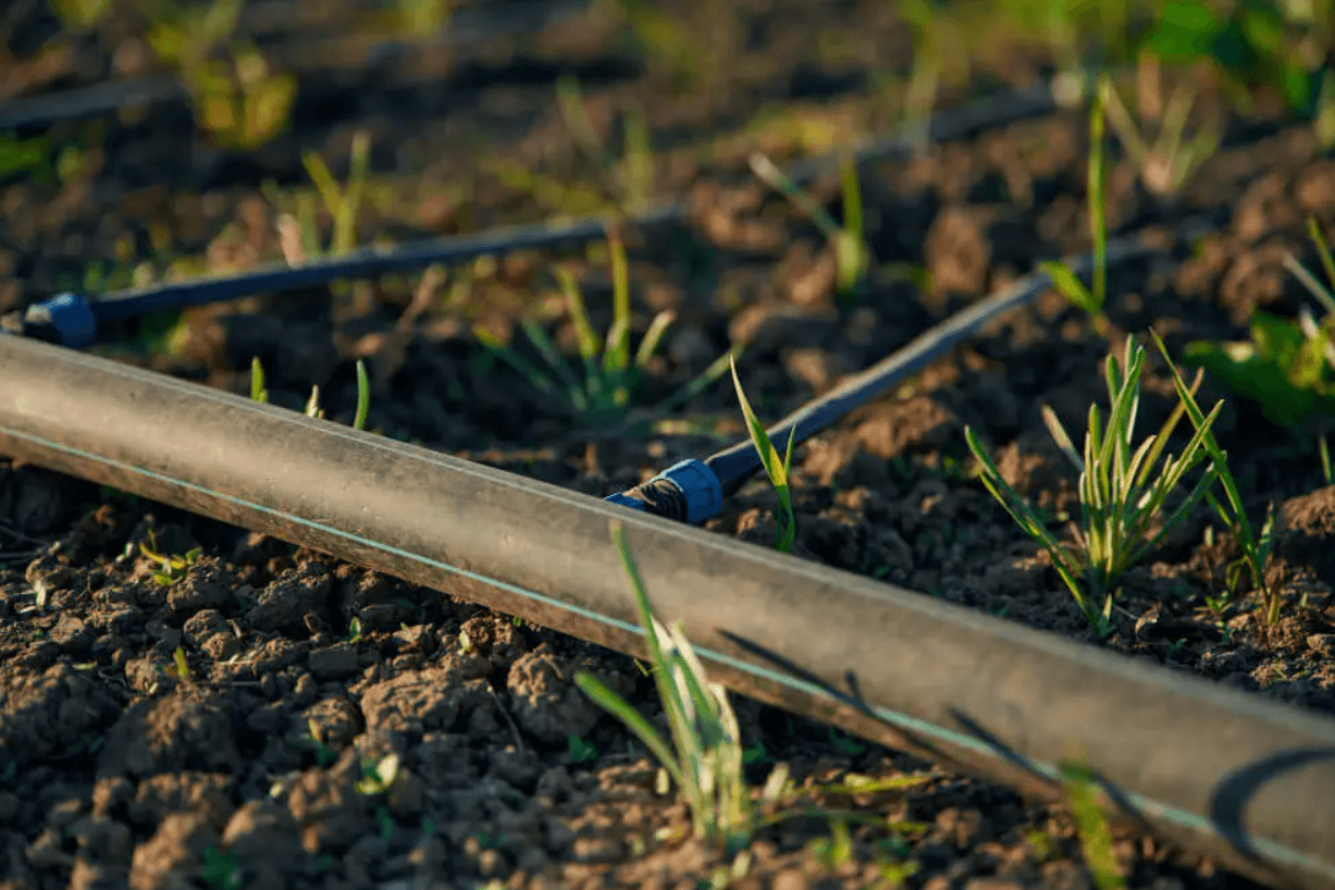 Drip-Plan Equipamentos para Irrigação - Tubos PELBD e Microtubos para irrigação por gotejamento em Minas Gerais