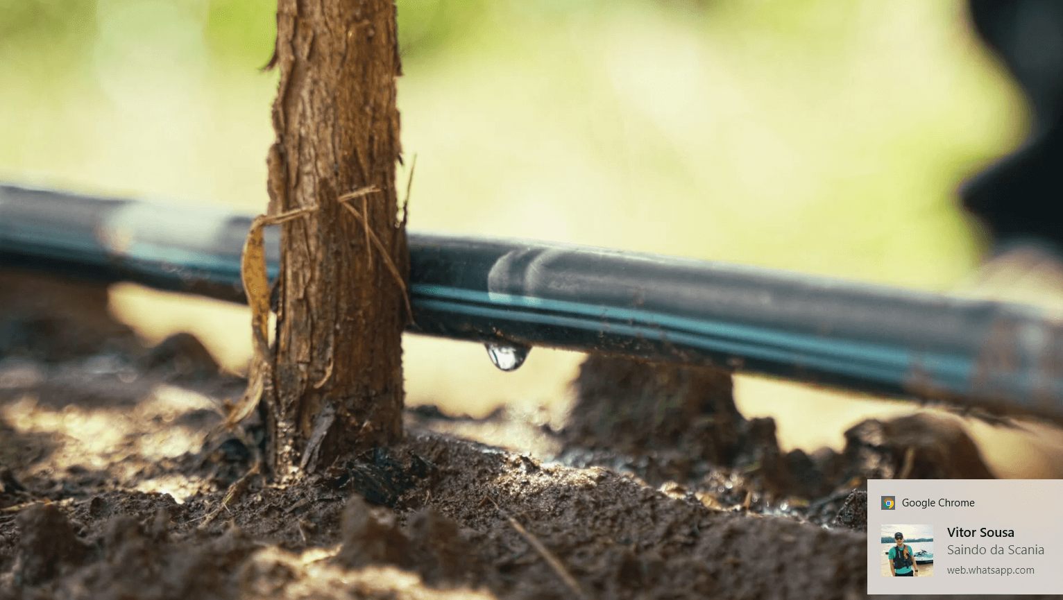 Drip-Plan Equipamentos para Irrigação - Tubos PELBD e Microtubos para irrigação por Microaspersão