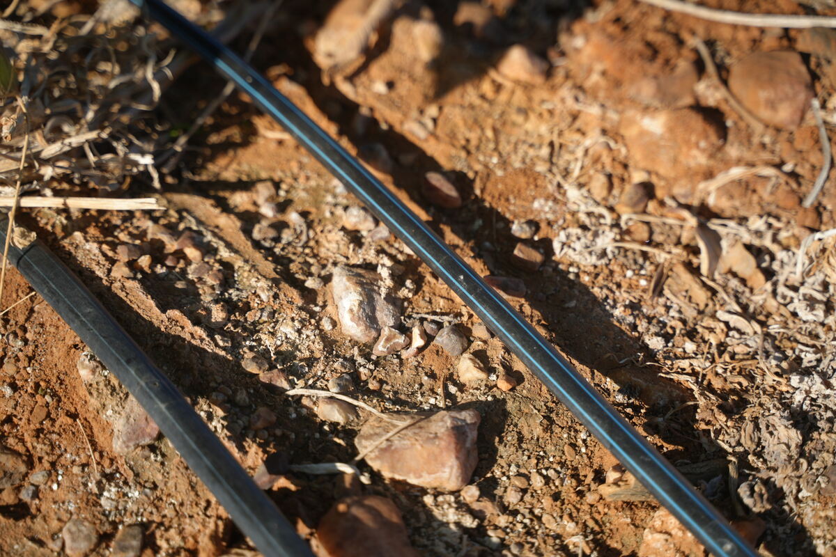 Drip-Plan Equipamentos para Irrigação - Irrigação em terrenos com desnível: por que usar tubo gotejador autocompensante