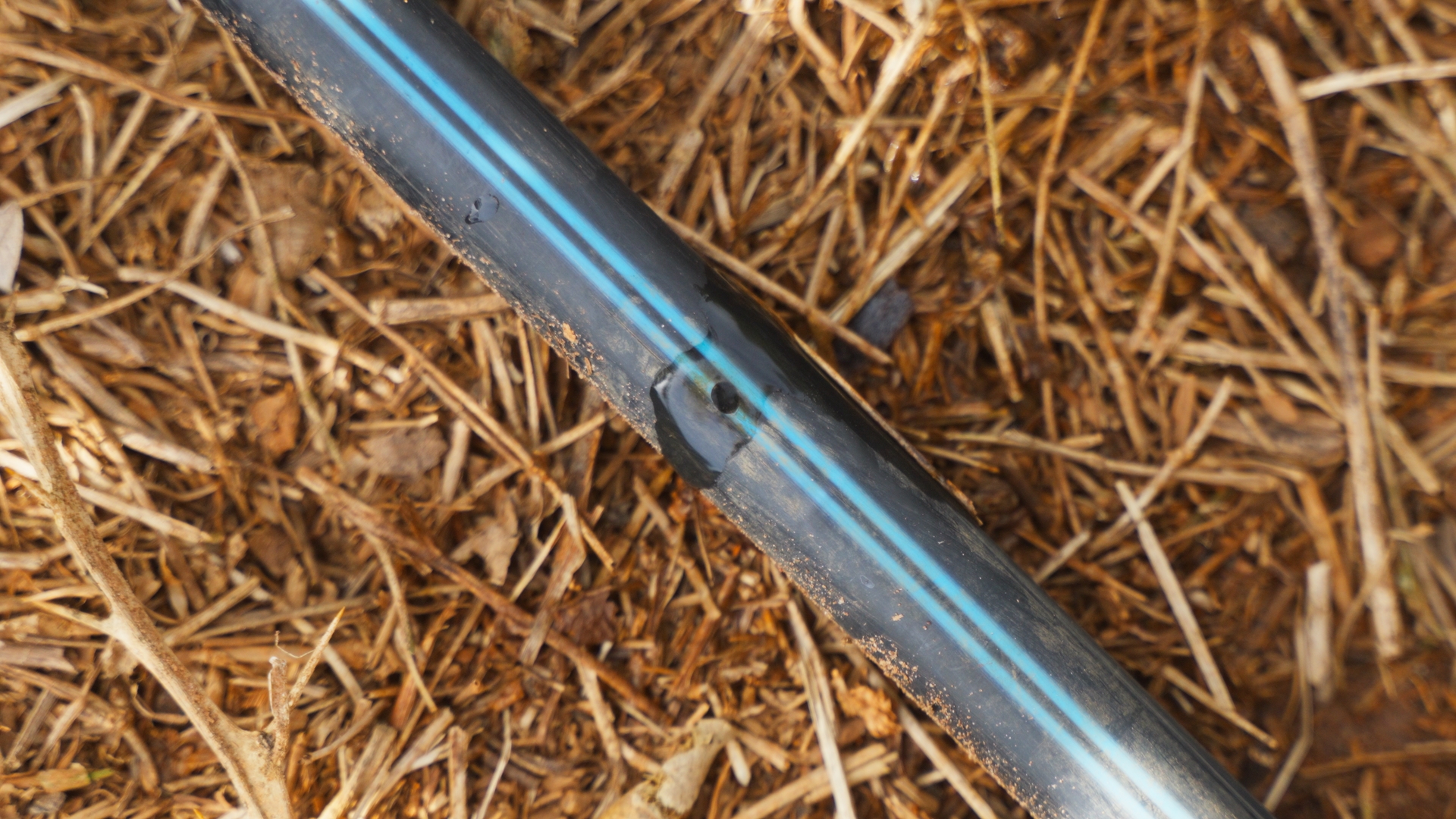 Drip-Plan Equipamentos para Irrigação - Irrigação por gotejamento na fruticultura: quando compensa?