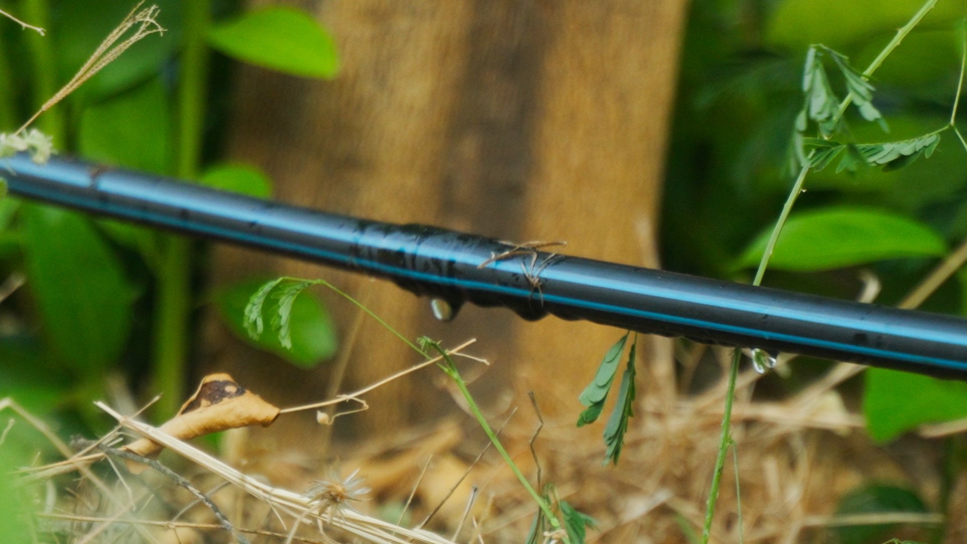 Drip-Plan Equipamentos para Irrigação - Tubo gotejador: quais critérios mudam a escolha na lavoura?