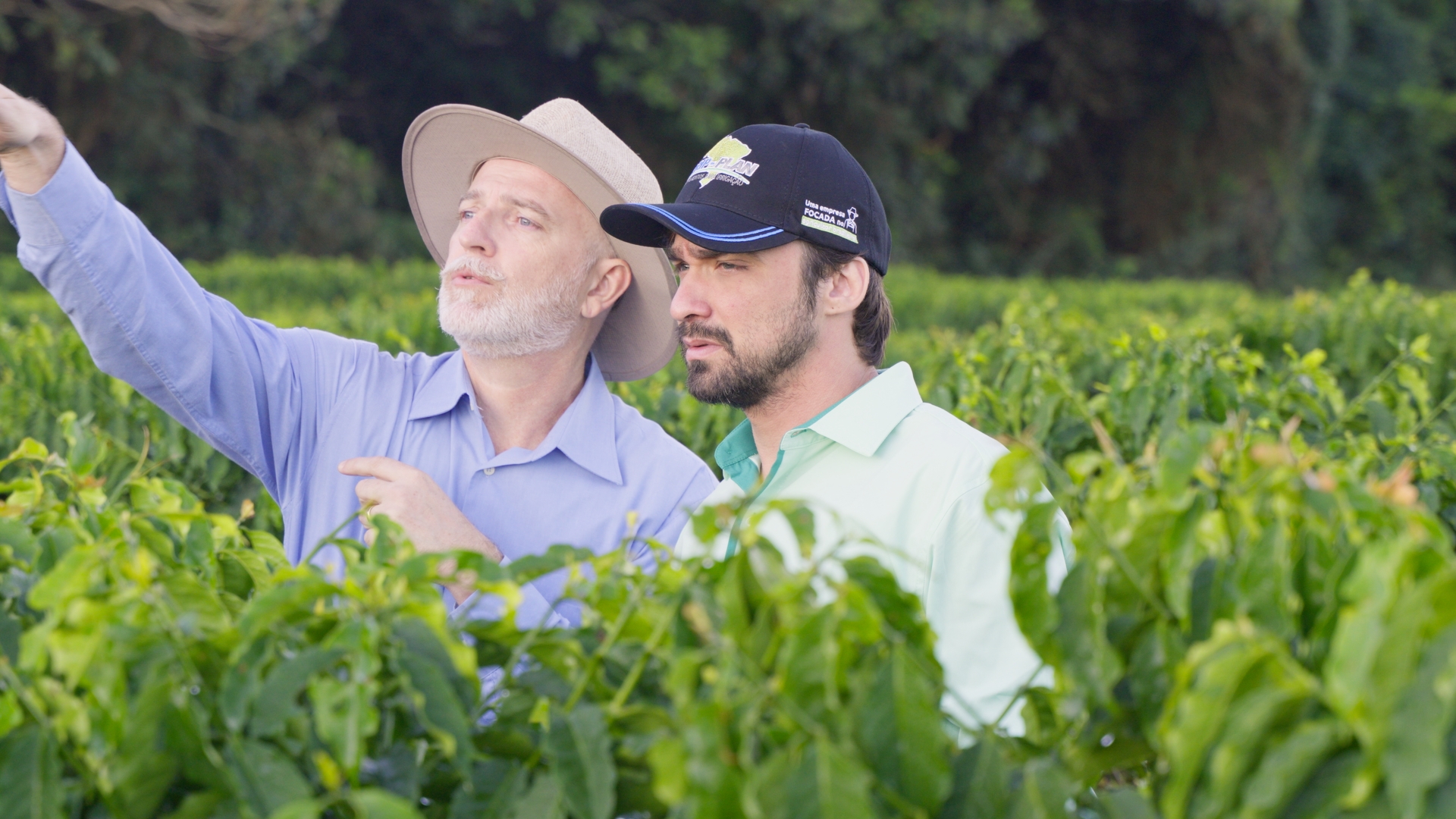 Drip-Plan Equipamentos para Irrigação - Sistema de irrigação com Drip-Tech PC/AS: eficiência e economia