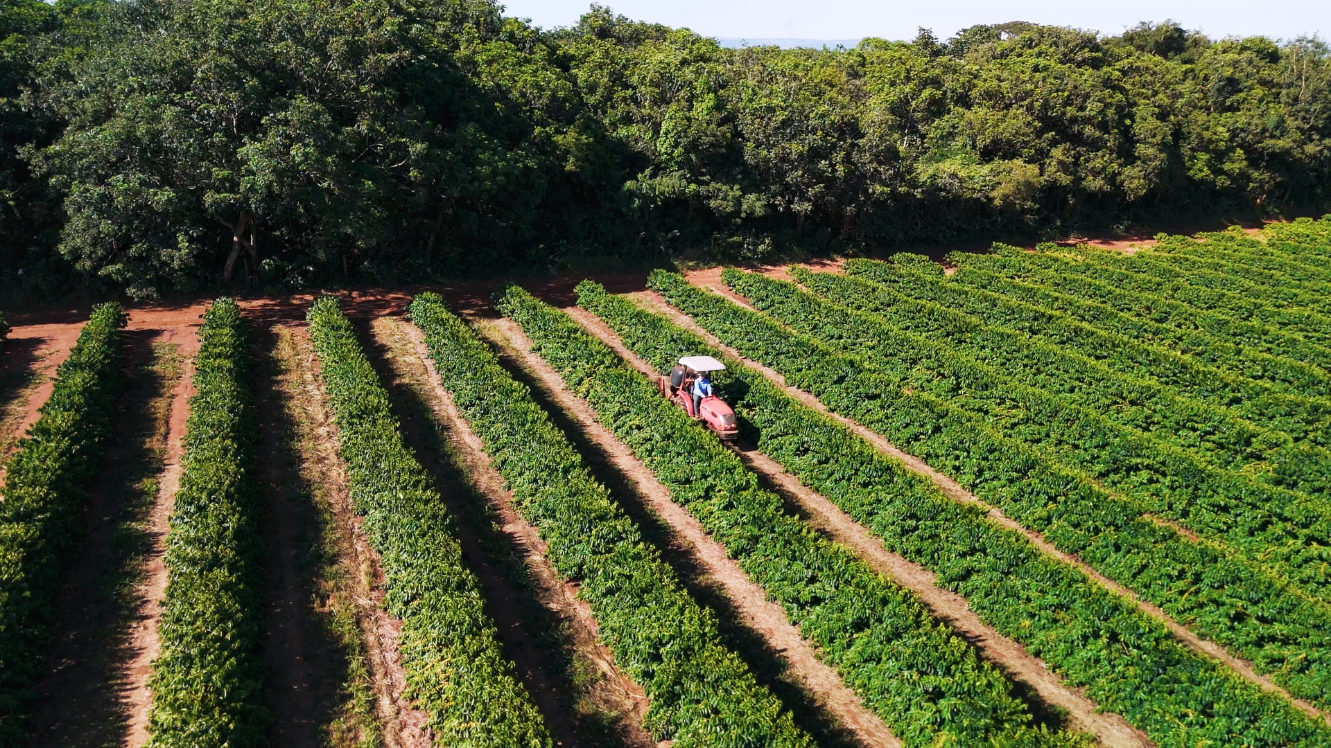 Drip-Plan Equipamentos para Irrigação - Tubo PELBD para irrigação: como escolher o modelo ideal