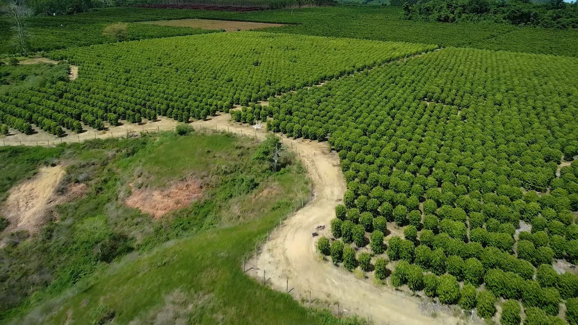 Drip-Plan Equipamentos para Irrigação - Distribuidor de fita gotejadora no Norte e Nordeste