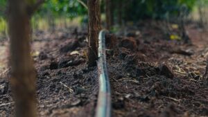 Drip-Plan Equipamentos para Irrigação - Irrigação na fruticultura: como ter maior uniformidade?